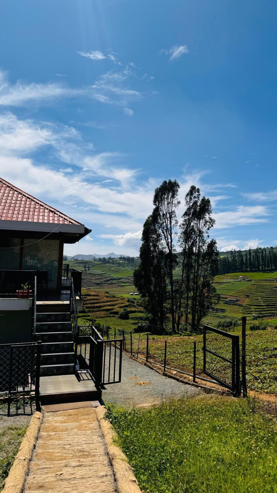 The Wooden Springs Bed & Breakfast Ooty Eksteriør bilde
